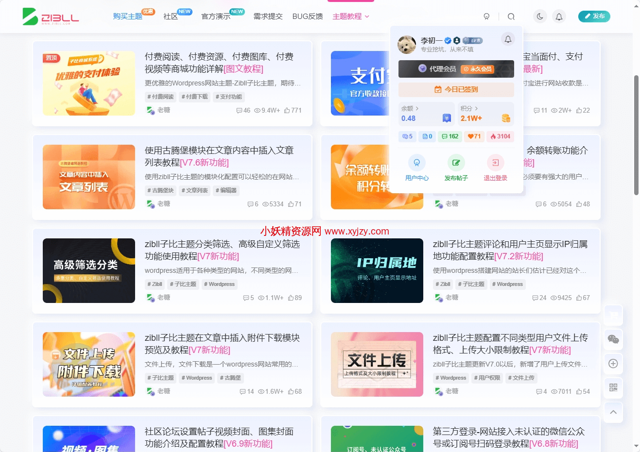 WordPress主题子比zibll美化实现拟态效果CSS-小妖精资源网-免费技术教程、游戏、软件、建站源码下载